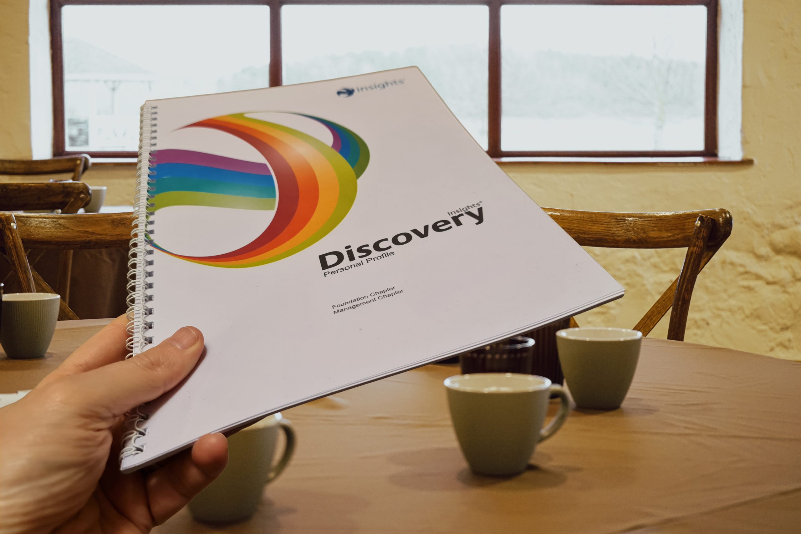 Insights Discovery Personal Profile