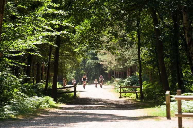 Outdoor Activity Centres